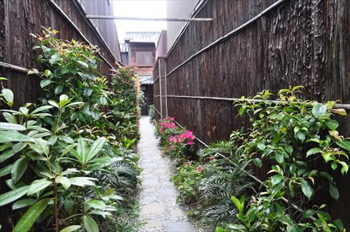 キャットアパートメント