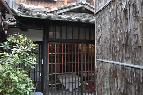 キャットアパートメント