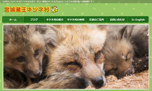 けものフレンズ　ケロリン桶　キツネ村