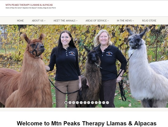 Mtn Peaks Therapy Llamas & Alpacas