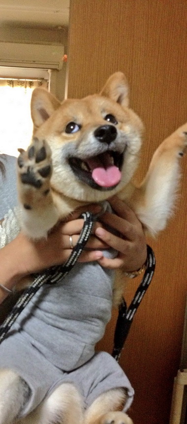 変顔
