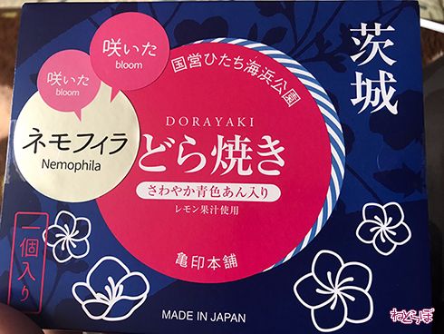 国営ひたち海浜公園ネモフィラ