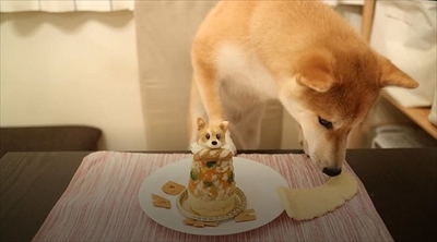 柴犬だいふく
