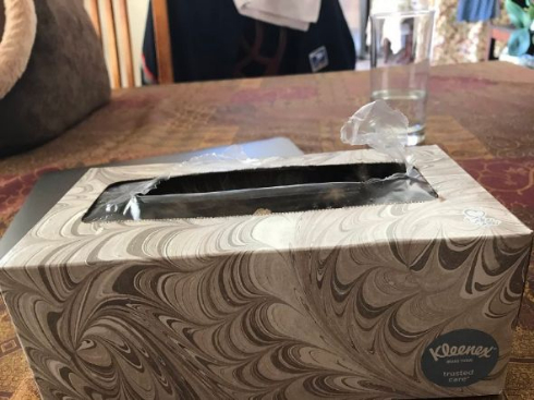 猫 ティッシュ 箱 かくれんぼ