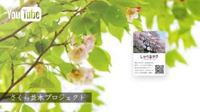 しゃべるタグ お礼 寄付 オーガビッツ 豊島