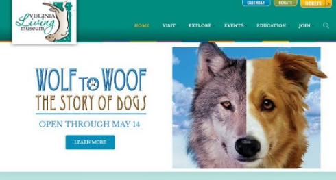 ナマズ おしゃぶり 咥える