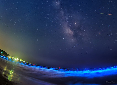 夜光虫とみずがめ座η（エータ）流星群