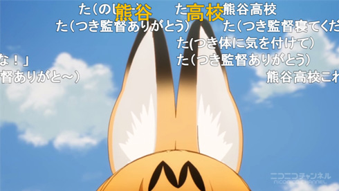 サーバルちゃんの耳のアップ