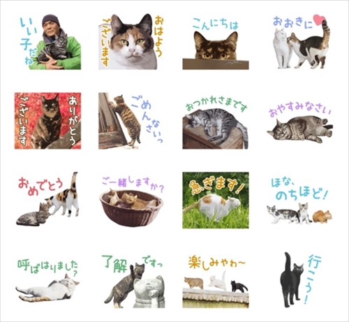 岩合光昭さんLINEスタンプねこの京都