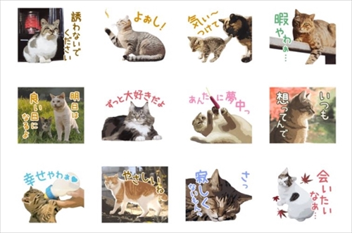 岩合光昭さんLINEスタンプねこの京都