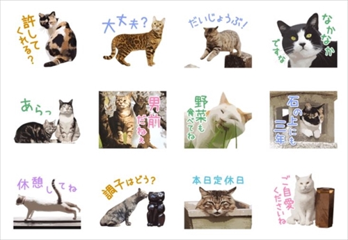 岩合光昭さんLINEスタンプねこの京都