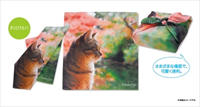 岩合光昭さんLINEスタンプねこの京都