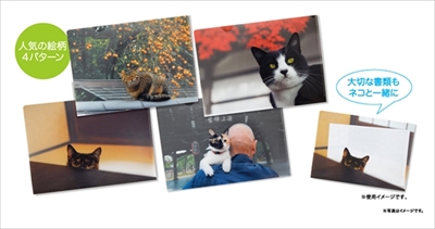 岩合光昭さんLINEスタンプねこの京都