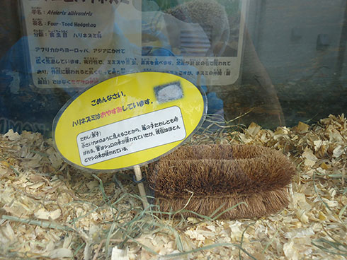 日立市かみね動物園