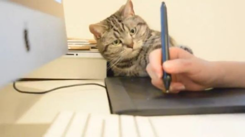 猫 ペンタブ 指導 こまち