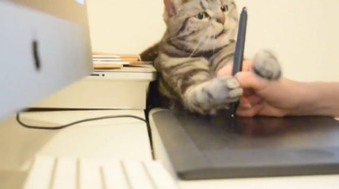 猫 ペンタブ 指導 こまち