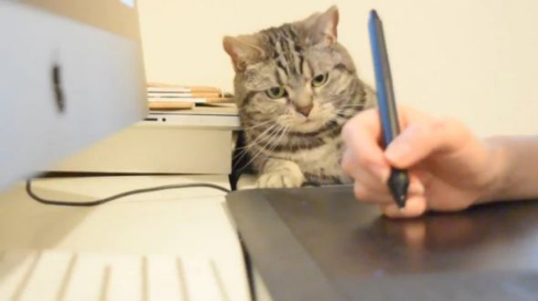 猫 ペンタブ 指導 こまち