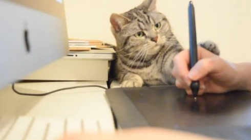 猫 ペンタブ 指導 こまち
