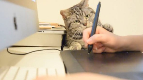 猫 ペンタブ 指導 こまち