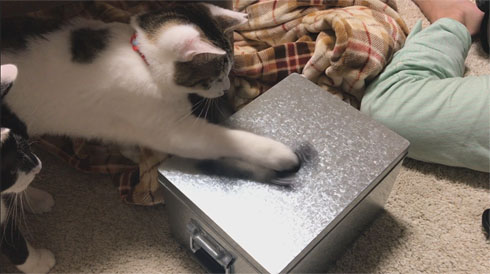 ハンドスピナー