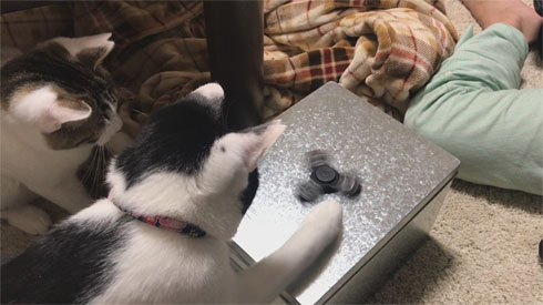 ハンドスピナー