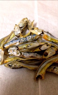 見分けつきません！ 本物の煮干しの中に割り箸で作られた煮干し