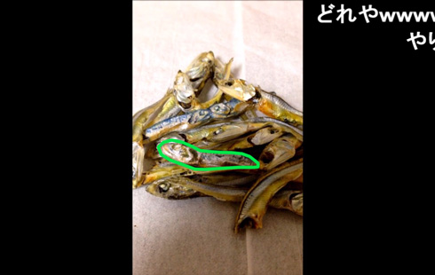 冒頭の写真に正解を図示