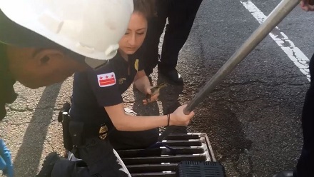 カモ救助