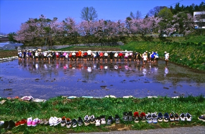 八ヶ岳生きものものがたり