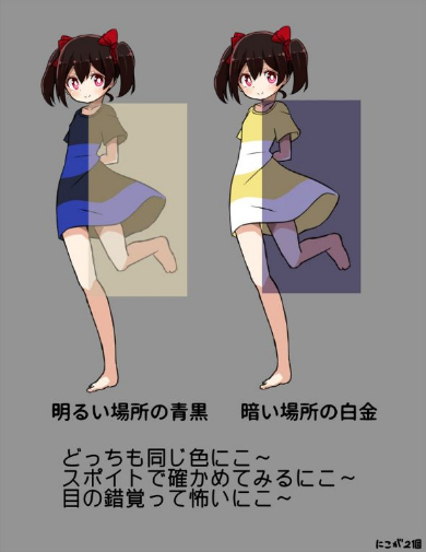 白金 青黒 ドレス イラスト 錯視 にこにー