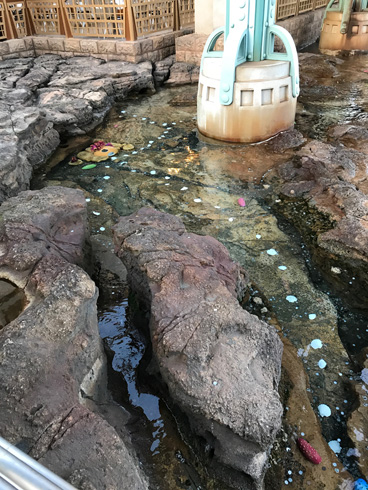 ディズニーシーにドリーとマーリン