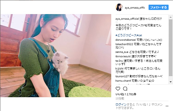 大政絢と子ネコ