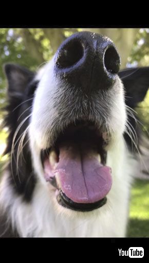 クローズアップ