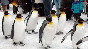 トリップアドバイザー