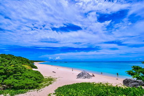 トリップアドバイザー