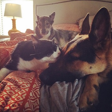 バロンとアルヴィン