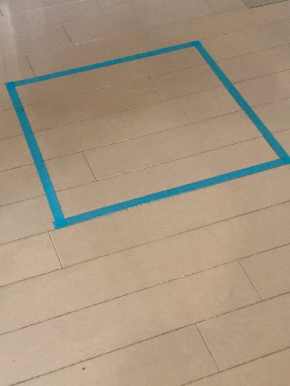 猫 四角 箱 認識