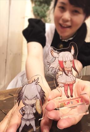 シャッツキステ