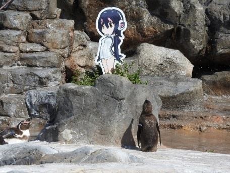 けものフレンズ 東武動物公園 コラボ
