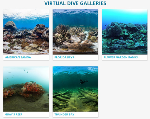 VIRTUAL DIVES
