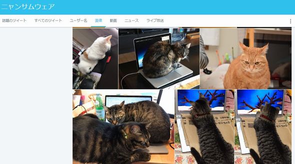 ニャンサムウェア　ネコ　猫　被害