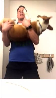 コーギー エクササイズ