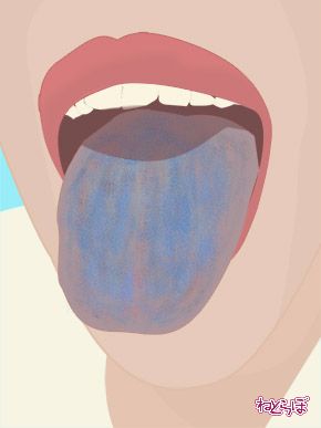 ネモフィラカレー