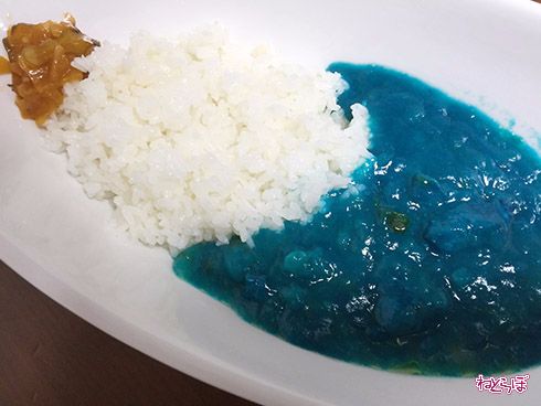 ネモフィラカレー