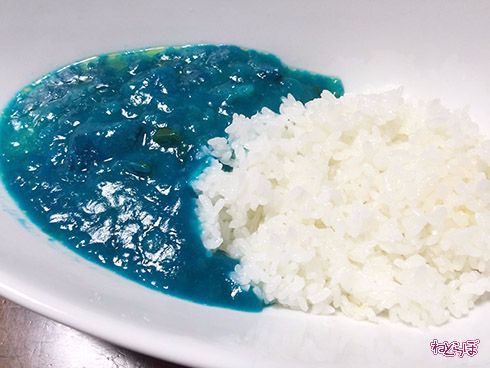 ネモフィラカレー