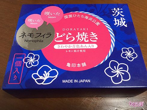 ネモフィラカレー