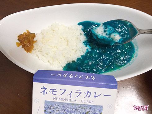 ネモフィラカレー