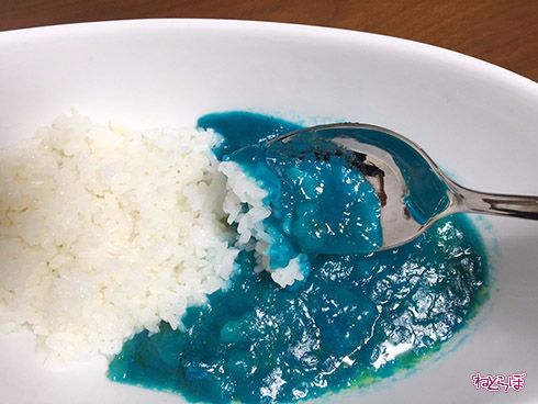 ネモフィラカレー