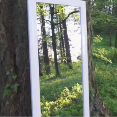 鏡 中 入る イリュージョン 不思議 動画