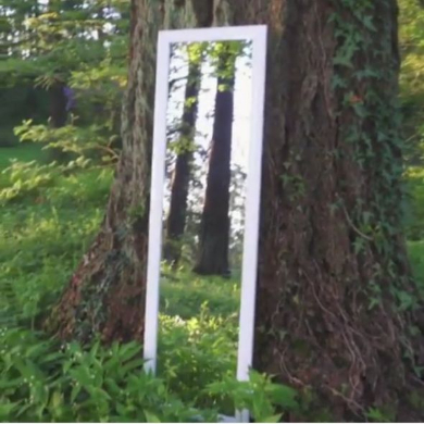 鏡 中 入る イリュージョン 不思議 動画